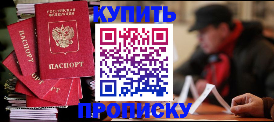 купить прописку в Мытищах